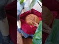 Sammy good morning wednesday #orangecat #wednesday #goodmorning #sleepingcats #relaxing #katten #cat