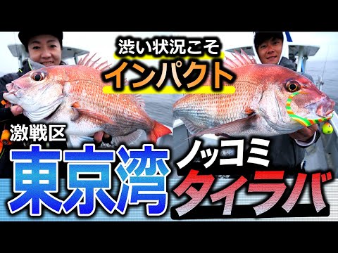 【東京湾タイラバ】渋い状況こそインパクト！激戦区・東京湾で楽しむノッコミタイラバ！