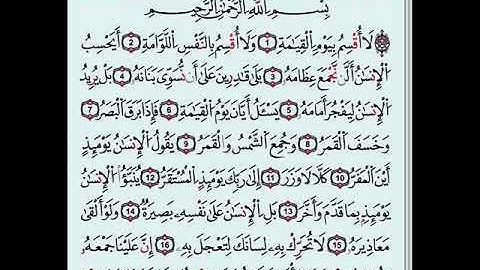سورة القيامة رواية الإمام قالون