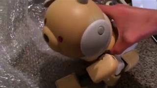 New Aibo ERS-311 Latte Unboxing