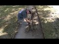 FREE Cleanup for ELDERLY Woman on Oxygen - OVERGROWN Mowing and Edging