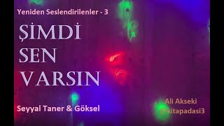 Şimdi Sen Varsın - Seyyal Taner & Göksel  (Yeniden Seslendirilenler - 3)