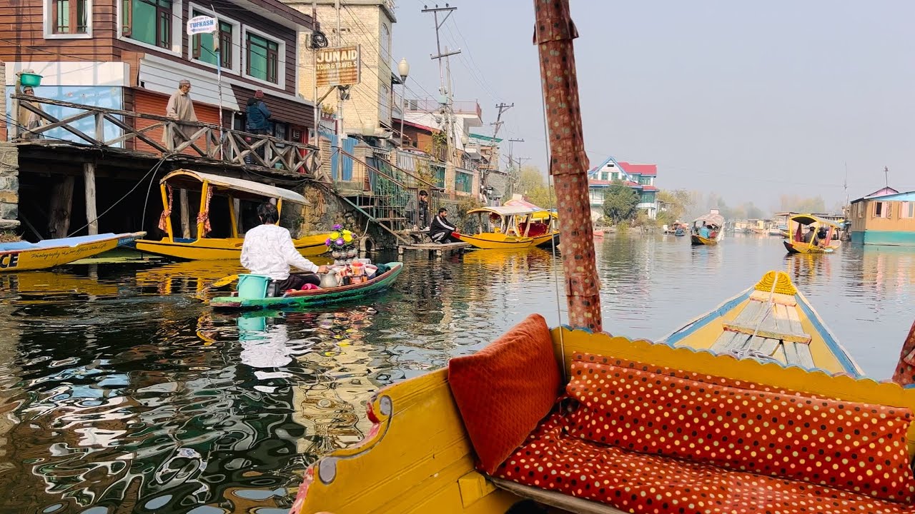 DAL LAKE BOATING TOUR IN SRINAGAR || jammu kashmir || Lake view || Tourist || Srinagar || india 