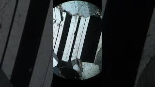 2162-31 | Plagioclase (XPL)