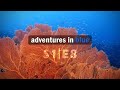 Liveaboard Diving | Similans Adventure