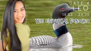 LEO DESTINY ✨ GATE 4 HUMAN DESIGN // GENE KEY 4