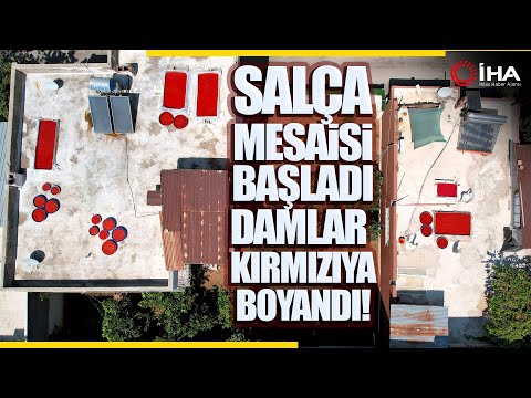 Salça Sezonu Başladı, Damlar Kızardı