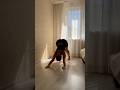 Йога #yoga #workout #рекомендации #йога #flexibility #растяжка