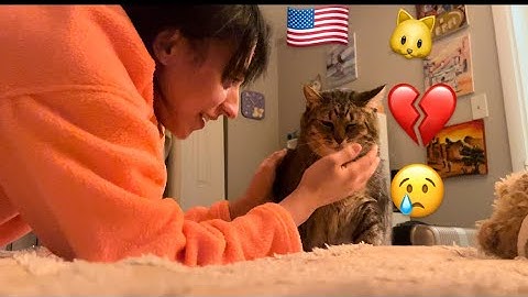 آخر نهار ف نيويورك😢 رجعت لعند ختي وراجلها دانا نتعشاو مع صاحبو😉👩🏽‍❤️‍💋‍👨🏽🤣🇺🇸