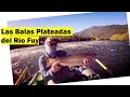 Las Balas Plateadas del Fuy // Patagonia Norte