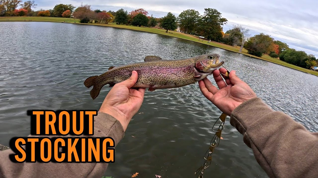 shields-lake-dorey-park-trout-stocking-day-2024-va-urban-program
