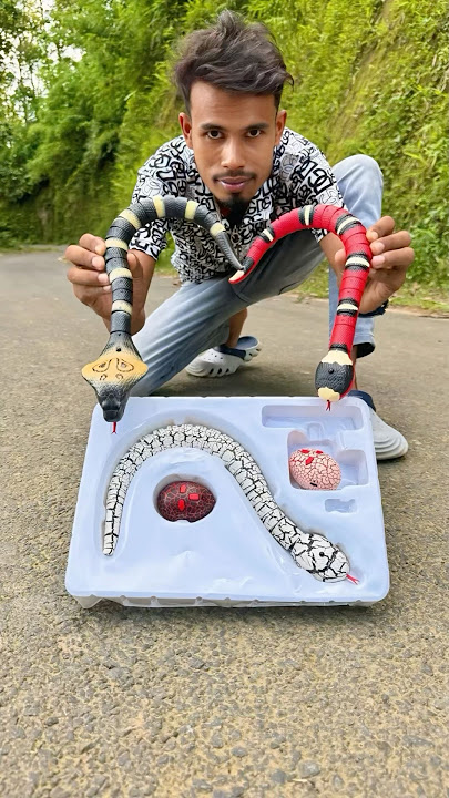 3 Ta Sap Remote Control Snake Look at this person 😊