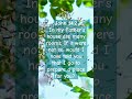 #christianmotivation,  we have that hope to be where our redeemer Jesus Christ is now!