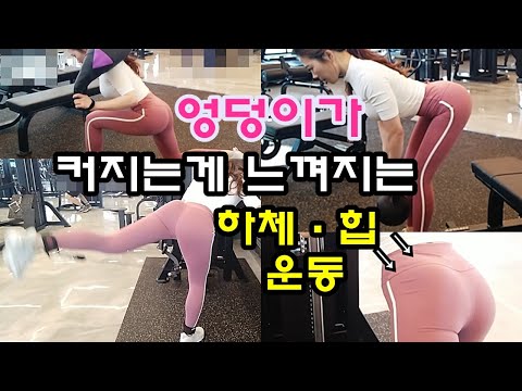 엉덩이 하체 애플힙만들기운동 ♥ l 힙업운동 l 힙딥운동 l 중둔근운동 l 하체운동 l 맨몸운동 따라하기