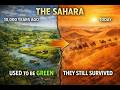 How Ancient People Survived the Sahara Desert (It Used to Be Green)