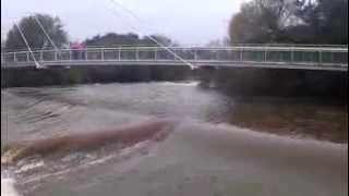 River Exe at Mill on the Exe