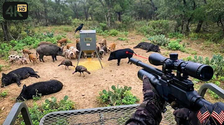 EASY Feral Hog Control Methods That Actually WORK