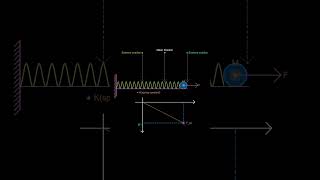 Spring Mass System