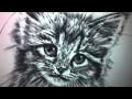 Luxe Coloriage De Transeptore Animaux