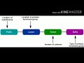 Nomenclature of alkanes fybscsuresh mehta college of sci  comm dr priti patel