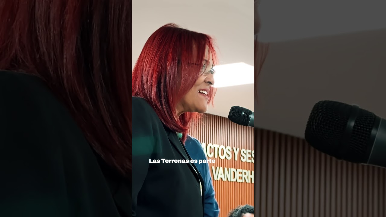 Las Terrenas — новый бренд 🇩🇴 