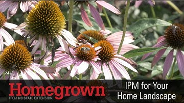Homegrown | Using IPM in Your Home Landscape
