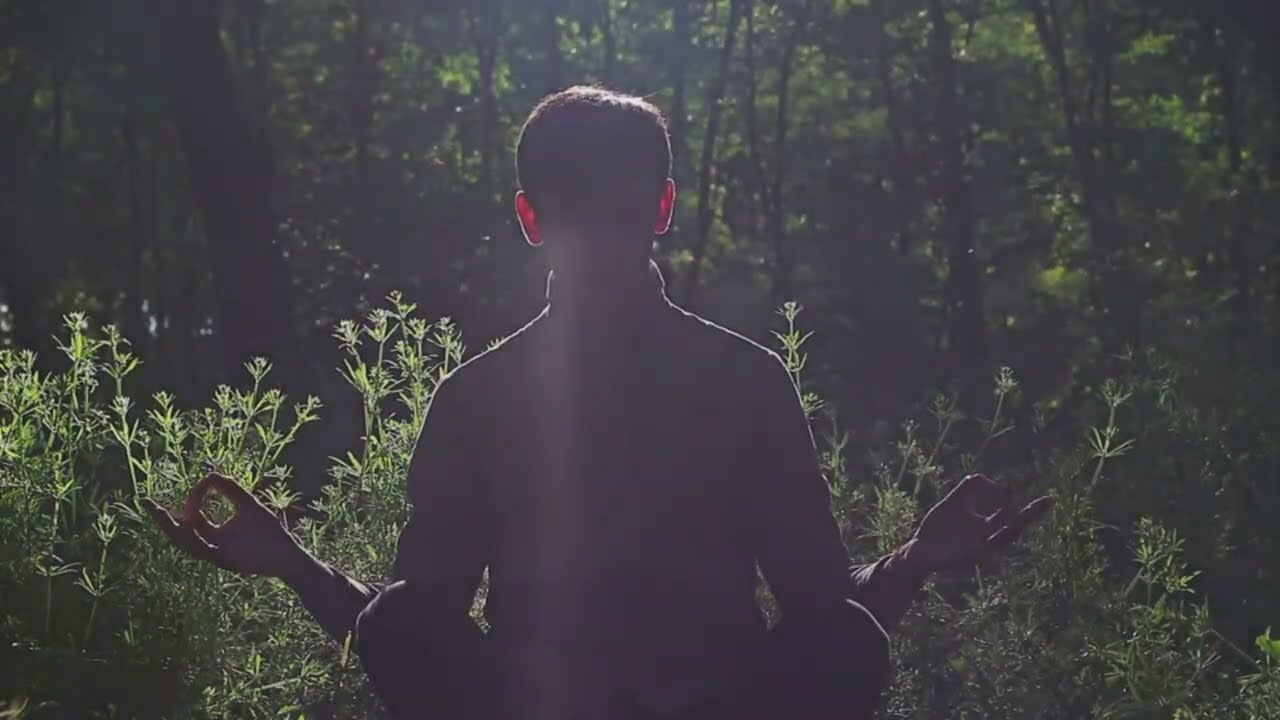 Navigating Life with Your Internal Spark