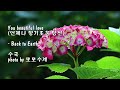 You beautiful love (언제나 향기로운 당신) / Back to Earth &amp; photo by 모모수계