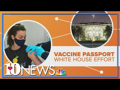 Connect the Dots: Federal Vaccine Passport Program