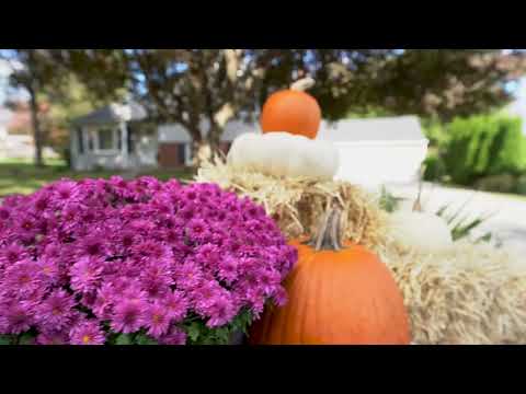 1217 Green Hill Ave, West Chester, PA home video tour