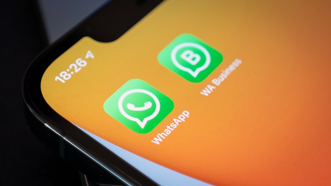 Como instalar o WhatsApp Business no iPhone - Olhar Digital