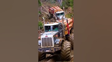 Monster Log Trucks Conquering the Deep Mud Road! #truck #viral #shorts #caminhão #shortsfeed
