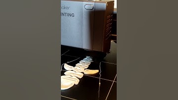 SHARK | Snapmaker 3D Print