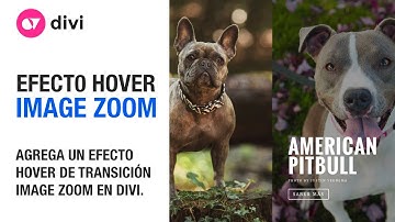 Divi Hover - Agregar un efecto de transición (image zoom hover) en divi.