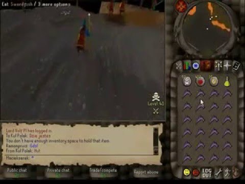 Runescape war DV vs LF, by maciekserek