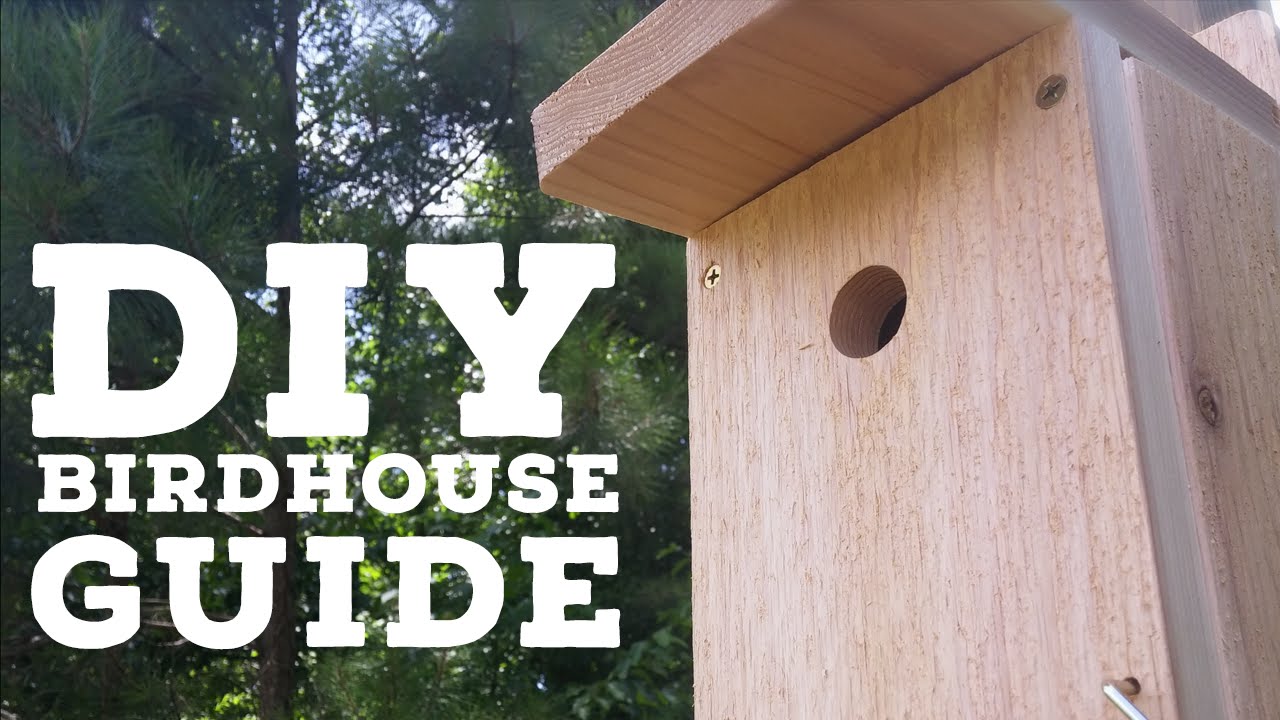 How to Assemble the Birds Choice House Wren Nest Box Kit ...