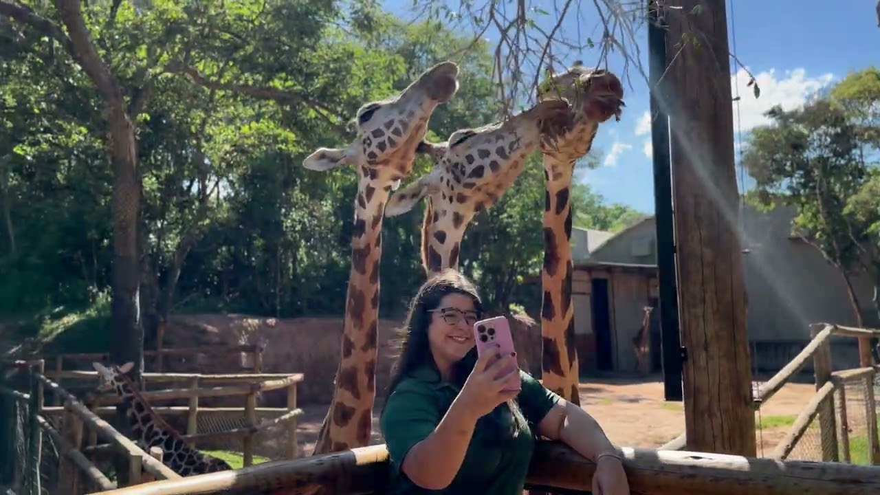 Zoológicos e Aquários do Brasil: Itatiba
