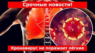 Срочные новости! Корона вирус больше не поражает лёгкие