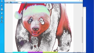 Rasterizing Panda in ProRip