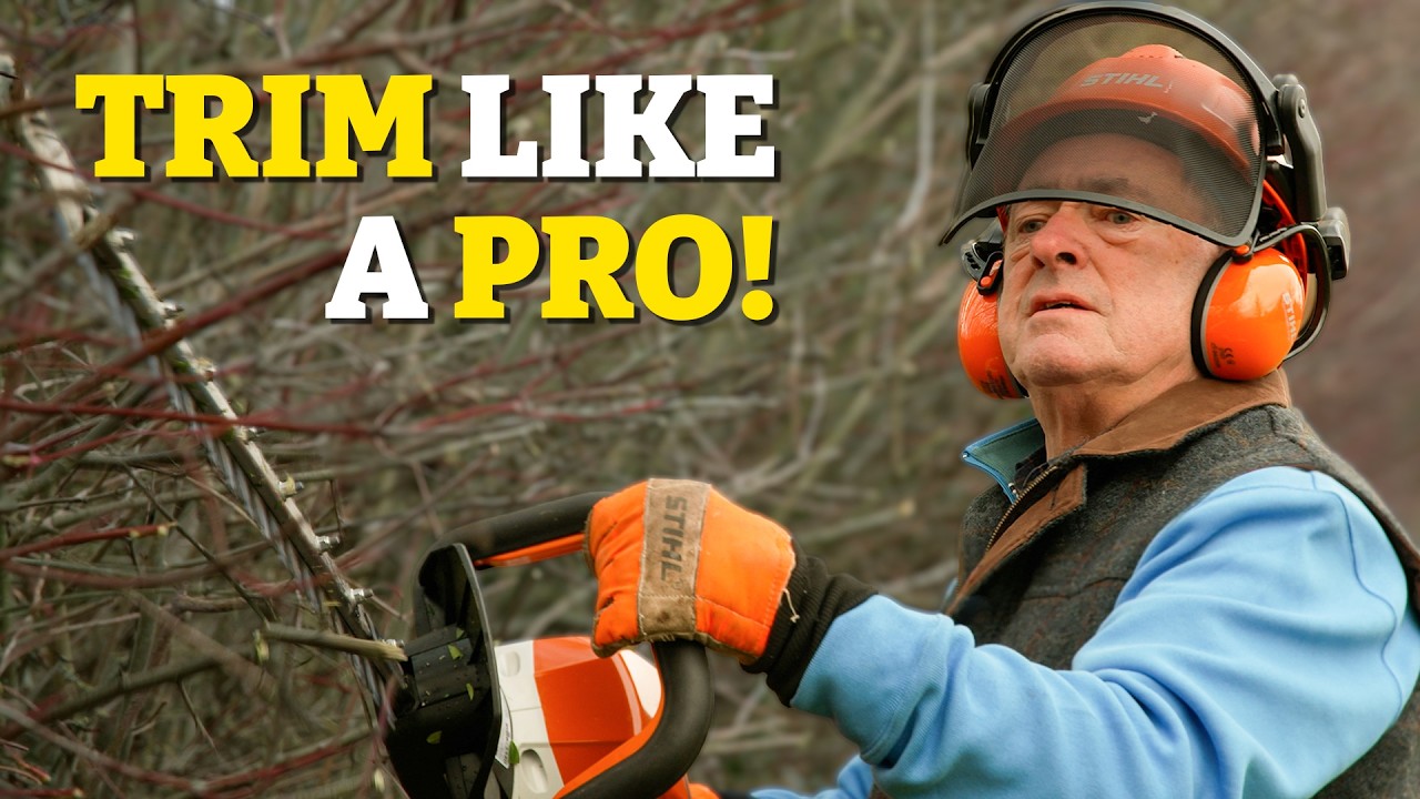 Hedge Trimming: When and How to Cut for Best Results!