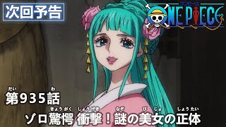 ONE PIECE　第935話予告「ゾロ驚愕 衝撃！謎の美女の正体」