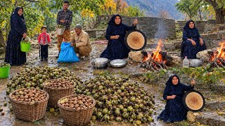 IRAN Nomadic life: 🌰Gathering Wild Mountain Walnuts |🏡 Nomads’ Hard Struggle for Survival in Winter🌦