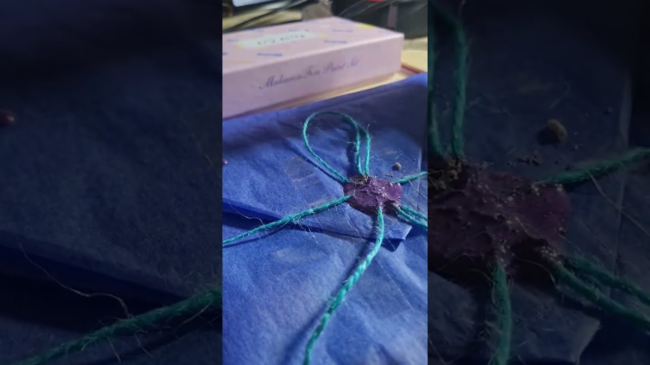 creative ways to package and gift wrap ✨️ 