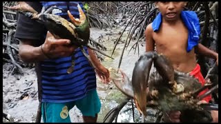 Orang disini tidak makan kepiting jadi kepiting sangat banyak