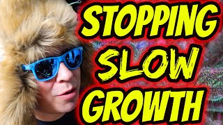 Ultimate Guide To Stopping SLOW Growth During Flowering