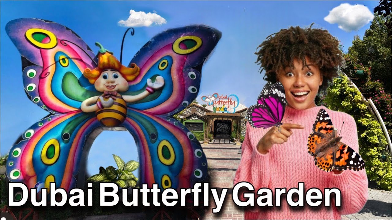 Dubai Butterfly Garden 2024 | The World's Largest Indoor Butterfly Garden | 4K Beautiful Places