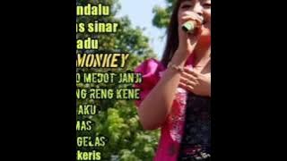 Jihan audy terbaru|Dance monkay & sambel trasi (tresnoku Moh ilang cokop go kw saynk)