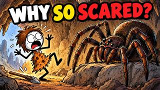 Why Are Humans So Afraid of Spiders?