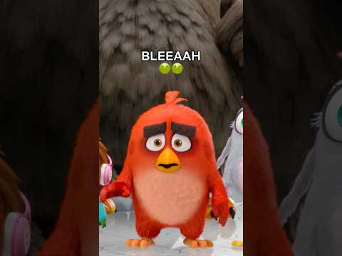 MOCCIO SUINO 🐽🤢 Angry Birds 2 - Nemici amici per sempre | Netflix DOPOSCUOLA