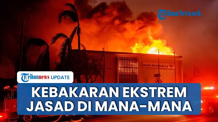 Rangkuman Kebakaran Los Angeles: Cuaca Ekstrem Buat Api Meluas hingga Jasad Korban di Mana-mana